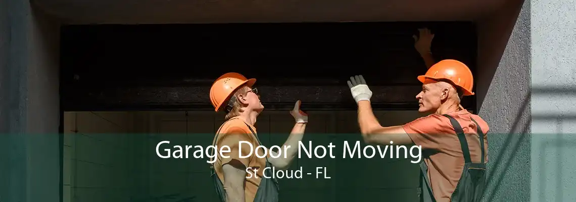 Garage Door Not Moving St Cloud - FL