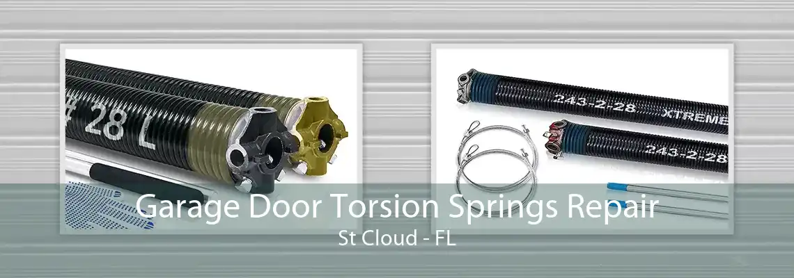 Garage Door Torsion Springs Repair St Cloud - FL