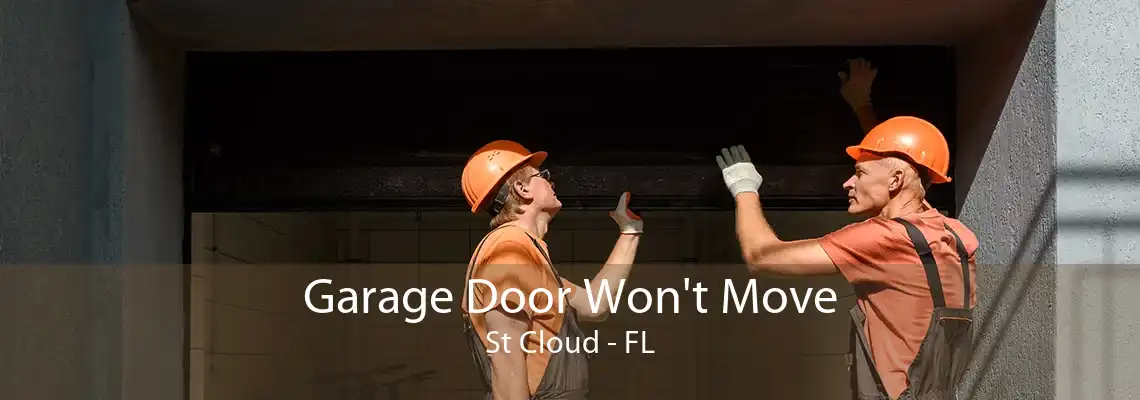 Garage Door Won't Move St Cloud - FL